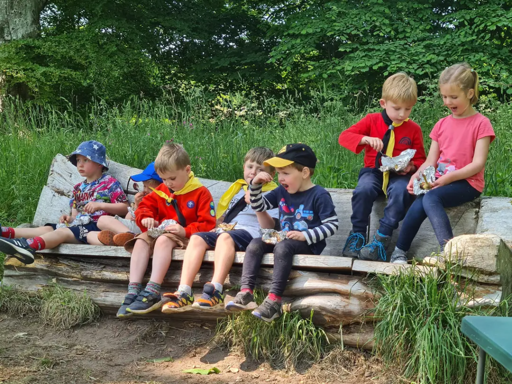 Scouts Scouts